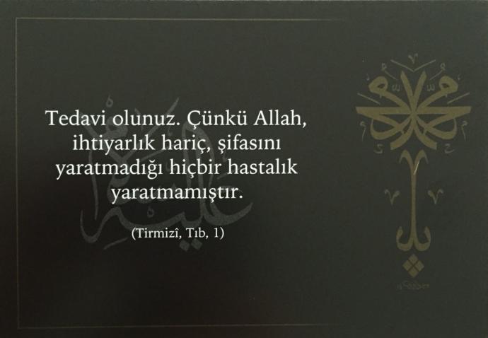 Sağlıklı Yaşam İçin Altın Öğütler Nelerdir?