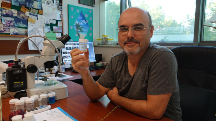 Prof. Dr. Murat Özbek