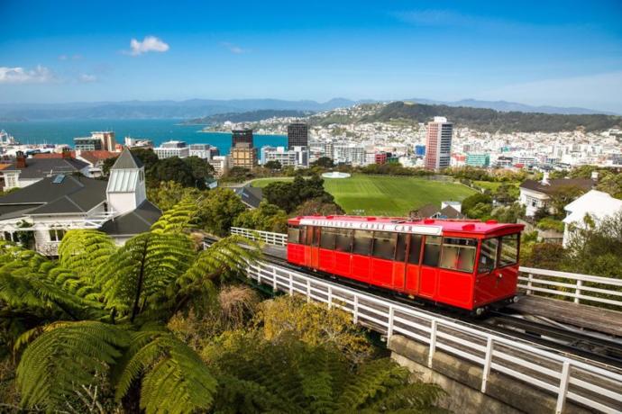 İki Okyanus Bir Şehir: Hint ve Atlas Okyanuslarının Sarıp Sarmaladığı Cape Towna 15 Madde ile Sihirli Bir Yolculuk