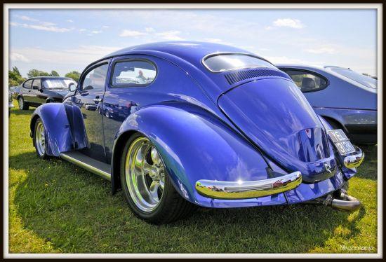 Kaplumbağa Roadster