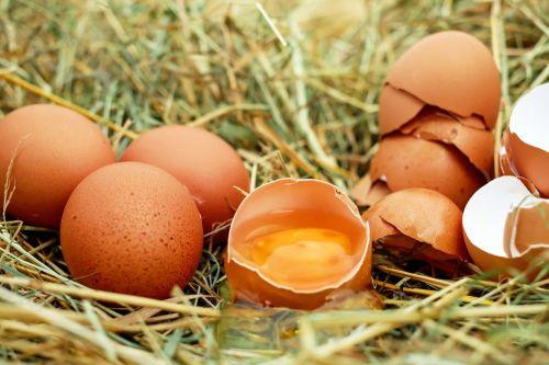 Yumurta Nasıl Yenmeli, Çiğ Yumurta Zararlı mı Faydalı mı?