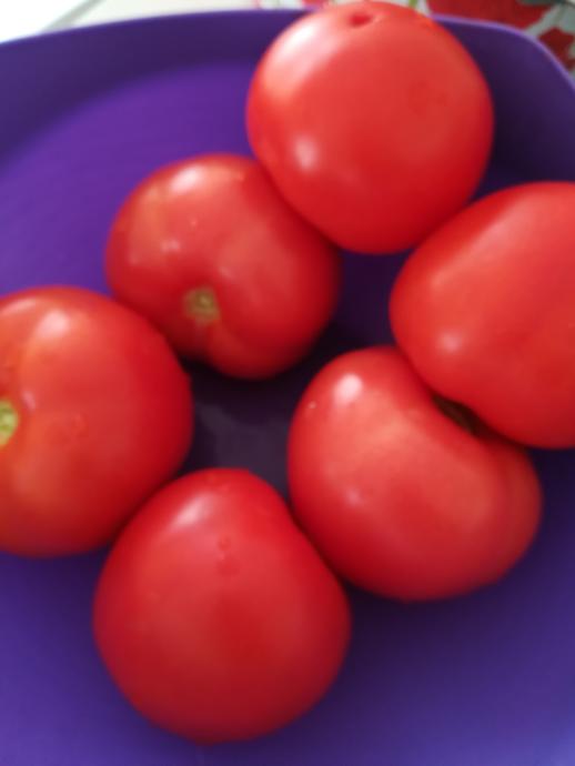 Damağımıza Hitap Eden Domates, Kuru Patlıcan, Biber Dolması Nasıl Yapılır?