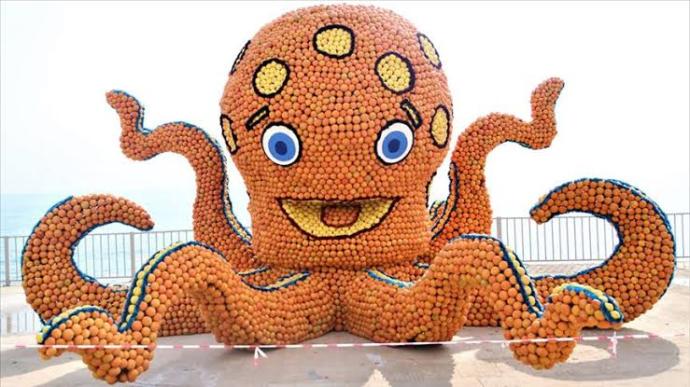 Ahtapot 🐙