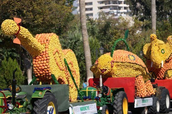 Her Sene Heyecanla Beklenen 25 Ülkeden 700 Dans Gösterisinin Yapıldığı Mersin Narenciye Festivali! 📸