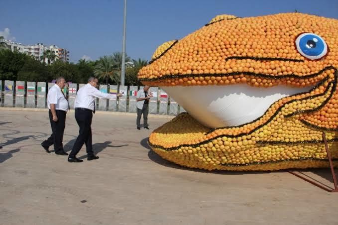 Kurbağa🐸