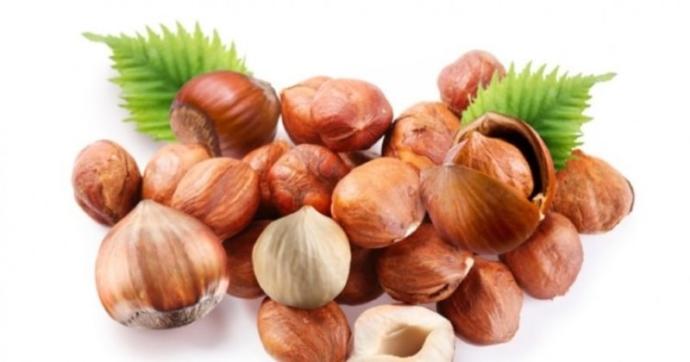 Fındık Mucizesi, Fındığın Faydaları Nelerdir?