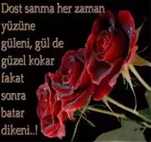 Yaşadıklarımdan Öğrendiğim Bir Şey Var!