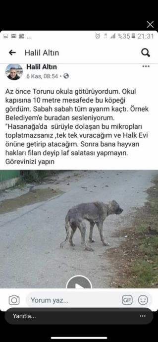 Hasta Bir Köpeği Paylaşıp Hayatına Son Vereceğini Söyleyen Adam Gözaltında!