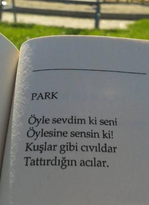 Her Şiiri Ayrı Duygu: Aykırı Şair Cemal Süreya!