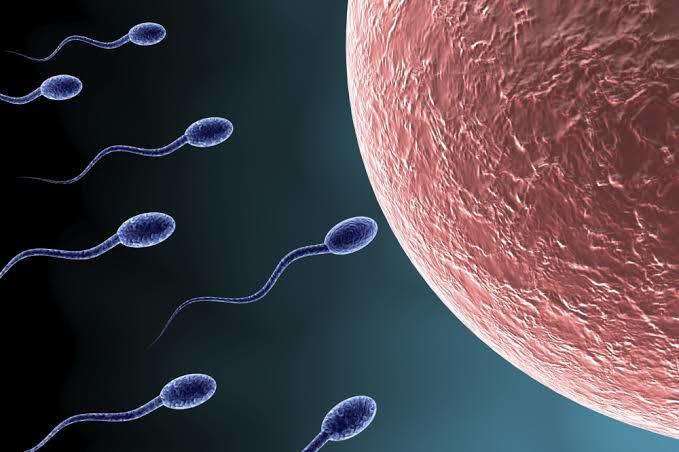 Spermin de Kalitelisi Makbul! İşte Sperm Düşmanı Etkenler