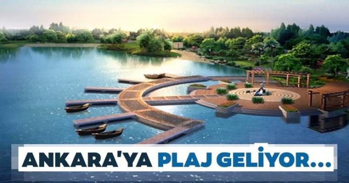 Meslek Guruplarına Göre En Çok Söylenen Yalanlar!