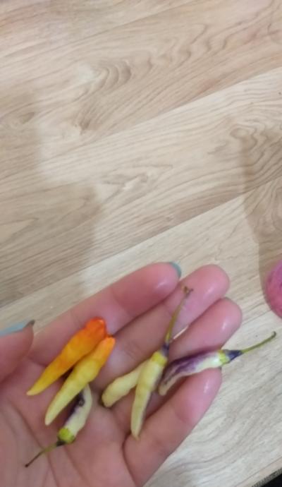 Gripsavar Karman Çorba Nasıl Yapılır?