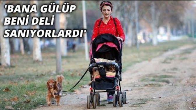 "Beni Deli Sanıyorlar" Bebek Arabasında Felçli Bir Köpek!