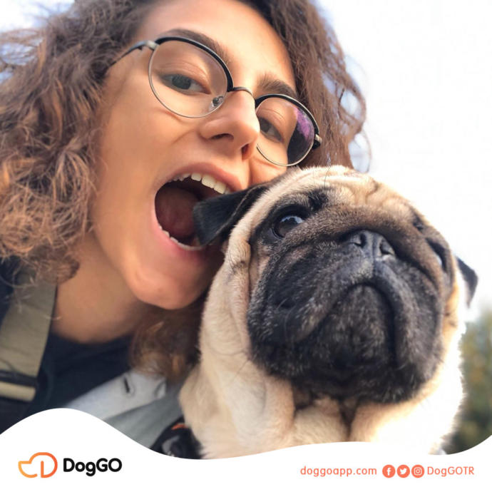 Profesyonel Köpek Gezdirme Uygulaması DogGO’nun Kurucu Ortağı Cansu Tokuç ile Röportaj Yapıyoruz!