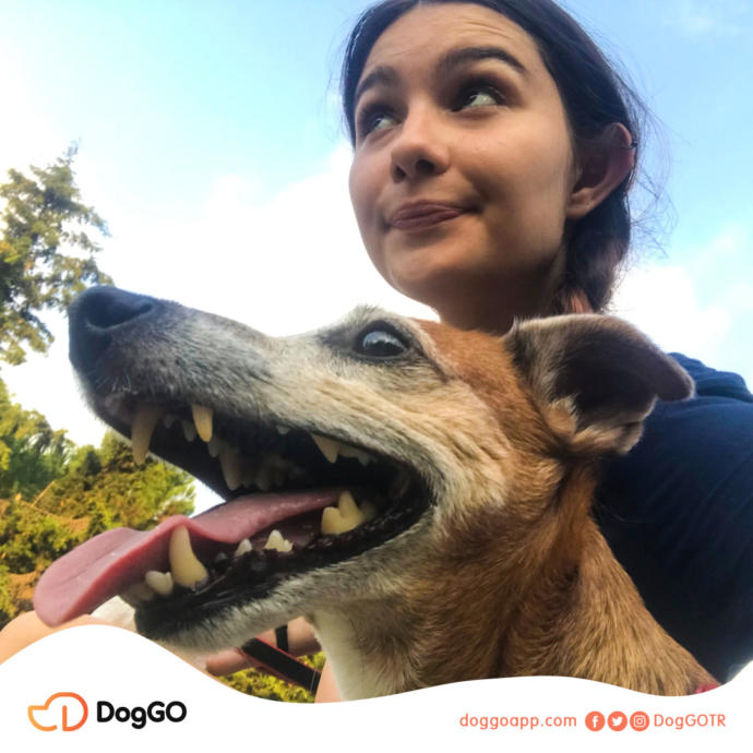 Profesyonel Köpek Gezdirme Uygulaması DogGO’nun Kurucu Ortağı Cansu Tokuç ile Röportaj Yapıyoruz!