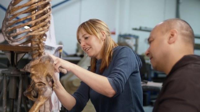 Kusursuz İnsan Bedeni Nasıl Olur? Diyen Bir Anatomist, Çalışmasının Görsel Halini Paylaştı: İşte Sonuç!
