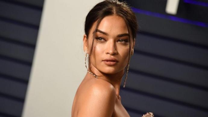 Shanina Shaik