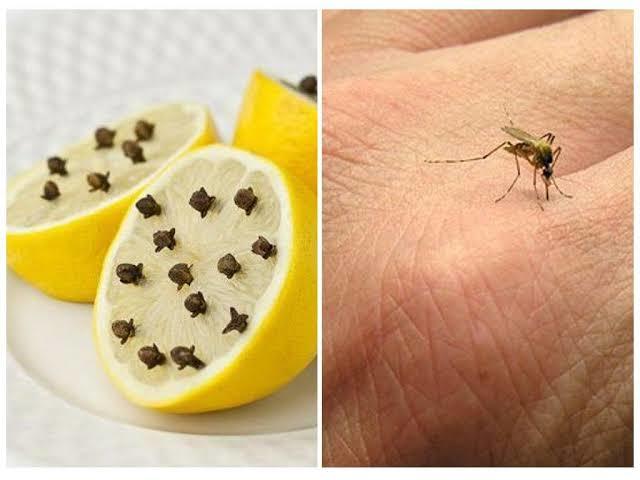 Ev Temizliğinde Limonun Gücünden Faydalanın!
