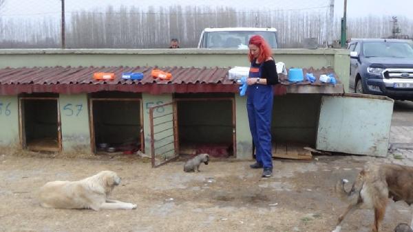 Kış Gününde İçimizi Isıtan Bir Doktor: Ceyda Tarhan