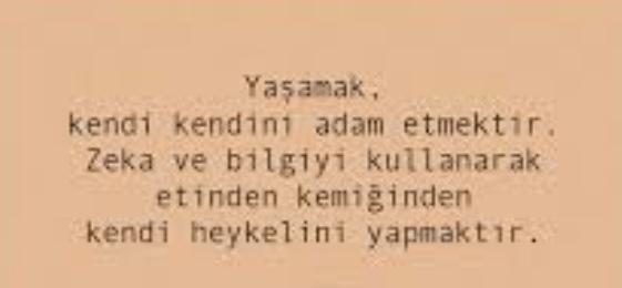 Tamam heykeltraş değilsin.. adamsın adam..!