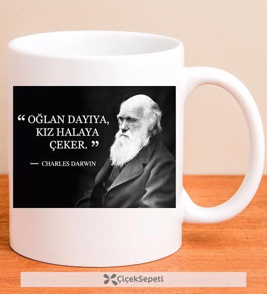 Hangi Burcun İnsanına Hangi Kupa Hediye Edilir?
