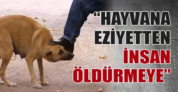 Her Güne Bir Kadın Cinayeti: Katillerin Ortak Özellikleri