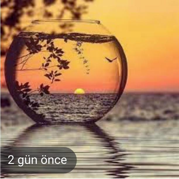 Güneşe nerden baktığın önemli..kuşları görebildin mi..?