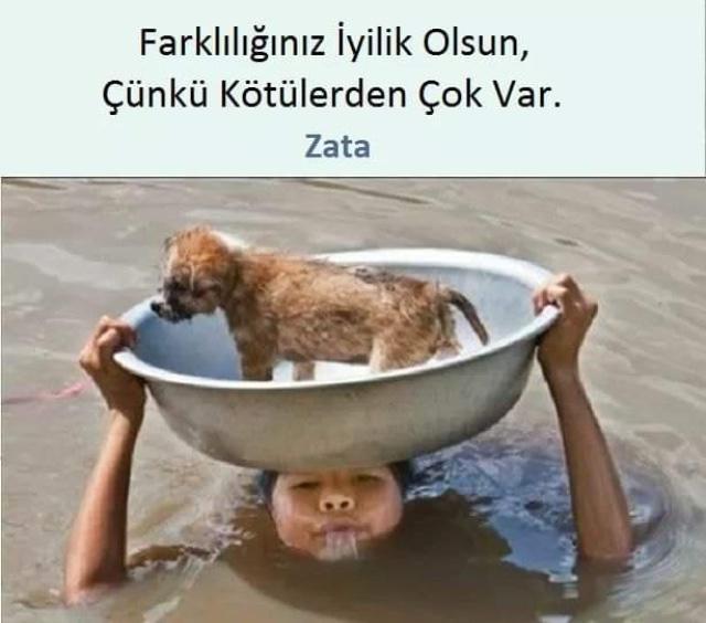 Acınacak Hallerimize Yakından Şahit Olalım!