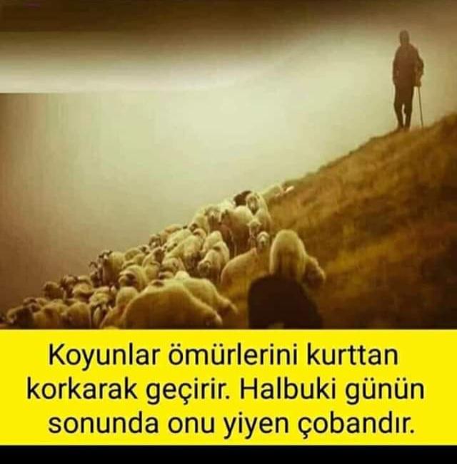Günün sonunda yorgun düşüp huzursuzluktan gece uyuyamayan yine o..!