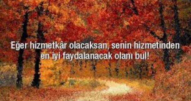 Acınacak Hallerimize Yakından Şahit Olalım!