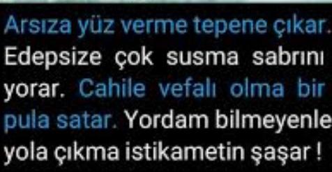 Hayatın Seyri Bizi Nereye Götürüyor?