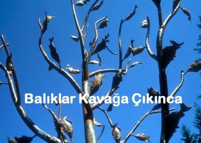 Dillere Pelesenk Olmuş Deyimlerin İlginç Hikayelerini Biliyor musunuz?