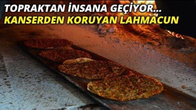 Siyez Buğdayından Yapılan Lahmacun Kanser Hastalığından Koruyor!