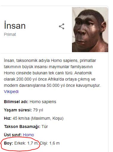 Düşünen Primat