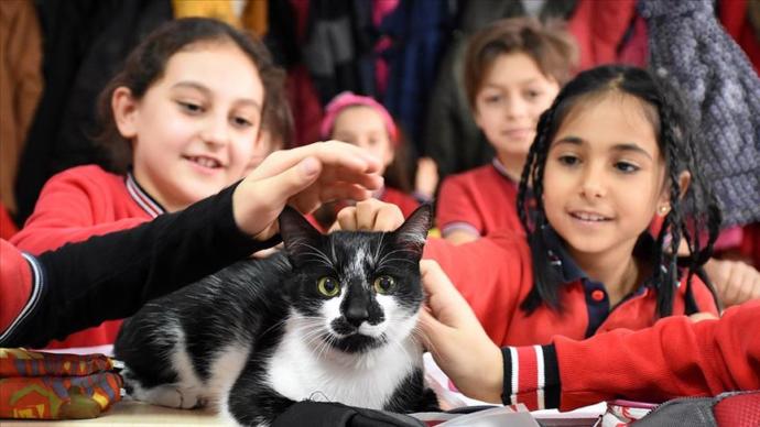 Kartal İsimli Kedi Okulun Maskotu Oldu