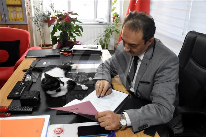 Hayvanseverler Kayserideki Bu Okulu Görmeniz Lazım (Foto Galeri)