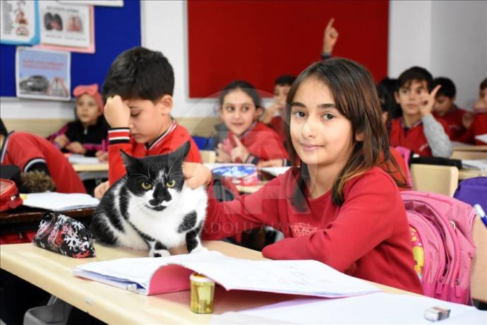 Hayvanseverler Kayserideki Bu Okulu Görmeniz Lazım (Foto Galeri)
