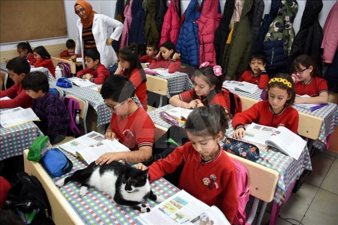Hayvanseverler Kayserideki Bu Okulu Görmeniz Lazım (Foto Galeri)