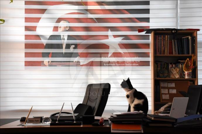 Hayvanseverler Kayserideki Bu Okulu Görmeniz Lazım (Foto Galeri)