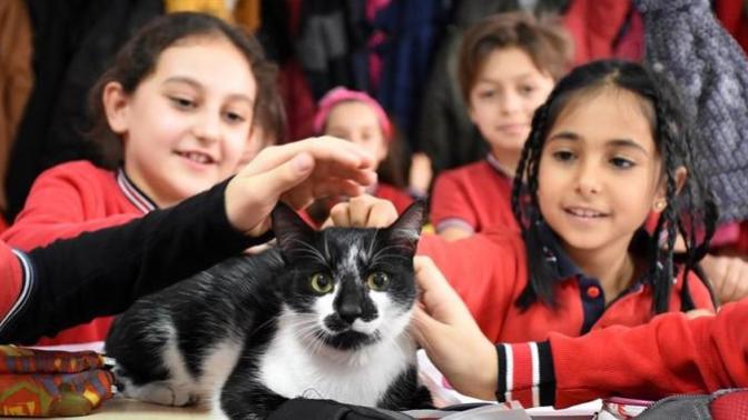 Hayvanseverler Kayseri'deki Bu Okulu Görmeniz Lazım (Foto Galeri)