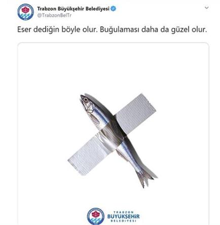 120 Bin Dolarlık Muz Eğlencesi: Belediyeler Twitterı Kırdı Geçirdi!