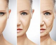 Varlığı Bir Dert Yokluğu Yara: Sebum Hakkında Her Şey!