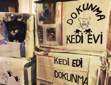 Bayıldım bunlara😍