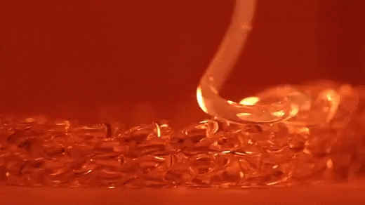 Argan Yağı ile Saç Bakımı Nasıl Yapılır? Argan Yağı Hakkında Her Şey!