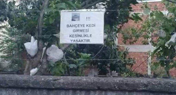 Geçen Yılların Değil Yıkılan Hayallerin İnsanları; Yurdum İnsanından Düşündürücü Durumlar!