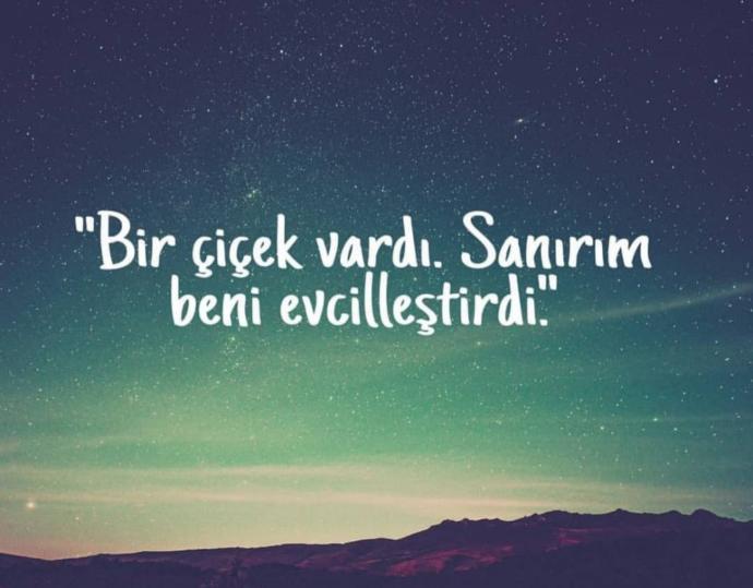 2019 Yılında En Çok Satanlar Rafından İnmeyen 7 Eser!