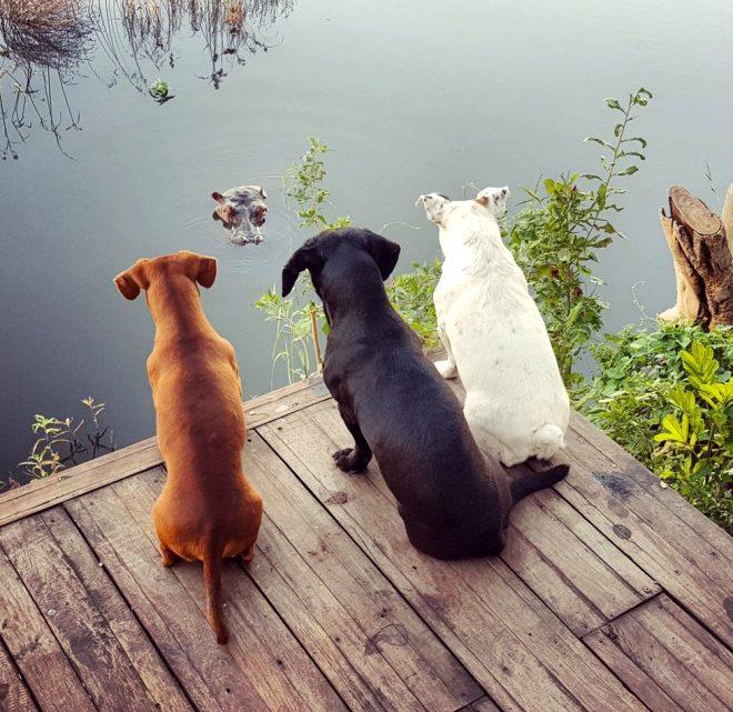 Sanatı Sevin, Çok Okuyun: 2019un En İyi Okur Fotoğrafları
