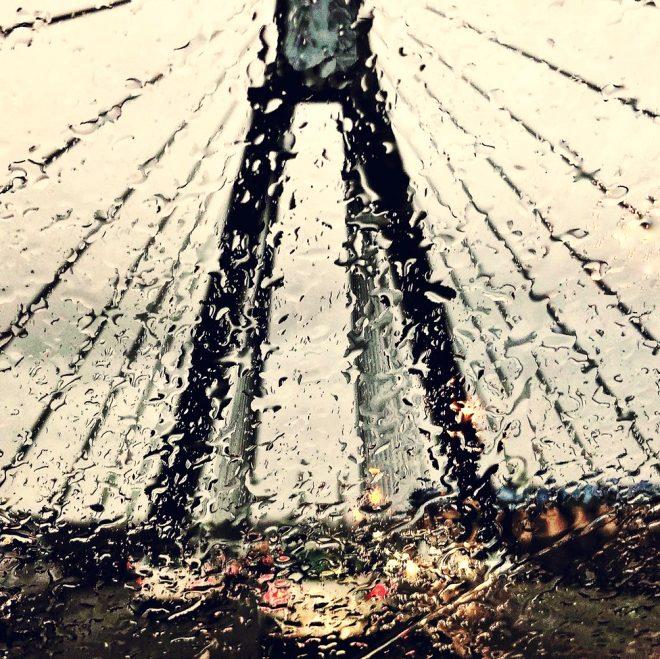 Sanatı Sevin, Çok Okuyun: 2019un En İyi Okur Fotoğrafları