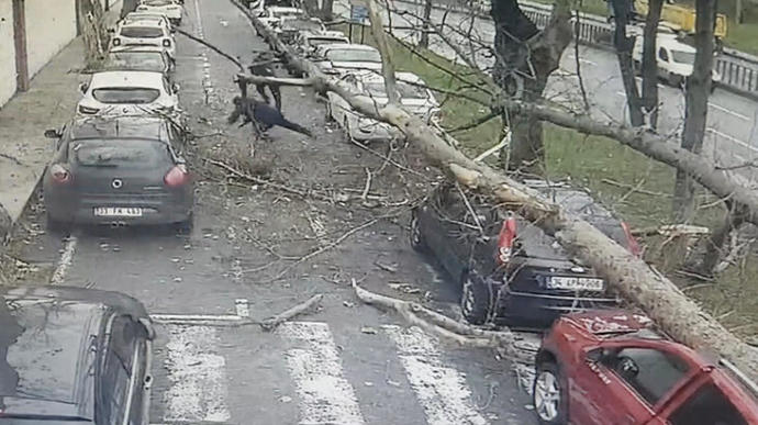Şişlide Fırtınadan Devrilen Ağaç
