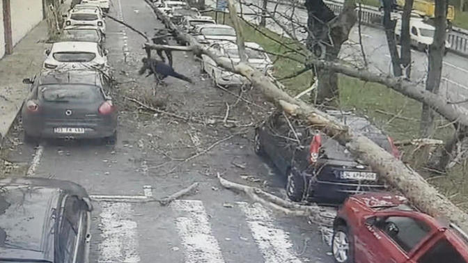 İnanılmaz Görüntüler: Şişli'de 3 Kişinin Üstüne Ağaç Devrildi!
